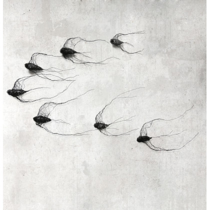 Instalacja z metalu nr XVIII - ptaki w kluczu (7 sztuk), Maja Gajewska, instalacja