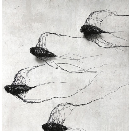 Maja Gajewska - instalacja - Instalacja z metalu nr XVIII - ptaki w kluczu (7 sztuk) foto #2