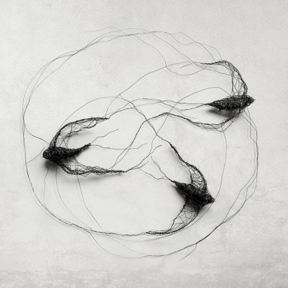 Instalacja z metalu - ptaki w kole I, Maja Gajewska, instalacja