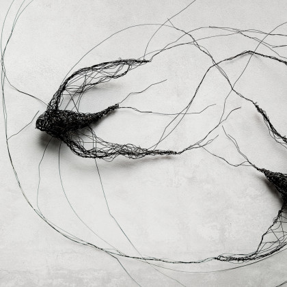 Maja Gajewska - instalacja - Instalacja z metalu - ptaki w kole I foto #1