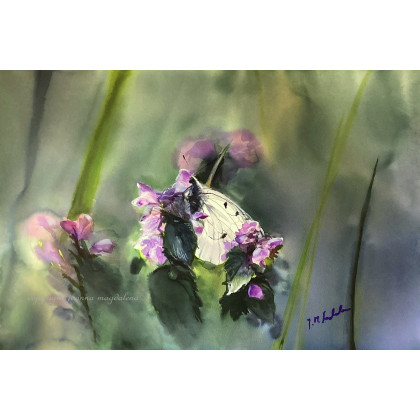 Szelest, Joanna Magdalena, obrazy akwarela