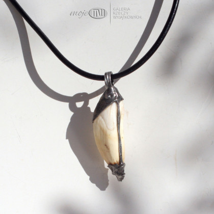 Moje MW - biżuteria męska - Kieł dzika 08 foto #1
