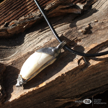 Moje MW - biżuteria męska - Kieł dzika 08 foto #3