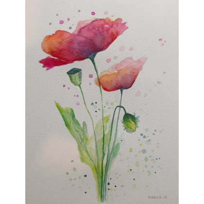 Paulina Lebida - obrazy akwarela - Maki- akwarela 24/18 cm foto #1