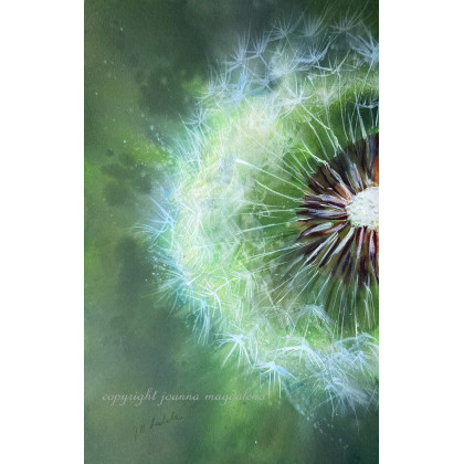 Zielonooka, Joanna Magdalena, obrazy akwarela