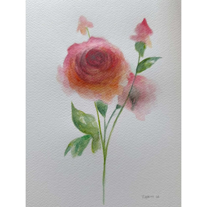 Paulina Lebida - obrazy akwarela - Róże- akwarela 24/18 cm foto #1