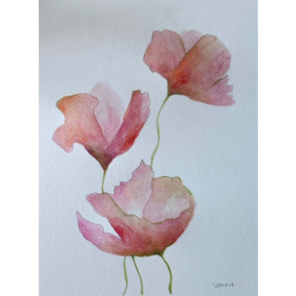 Paulina Lebida - obrazy akwarela - Maki- akwarela 24/18 cm foto #1