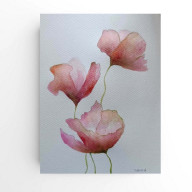 Maki- akwarela 24/18 cm