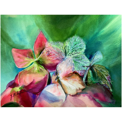 Opowieść o życiu, Joanna Magdalena, obrazy akwarela