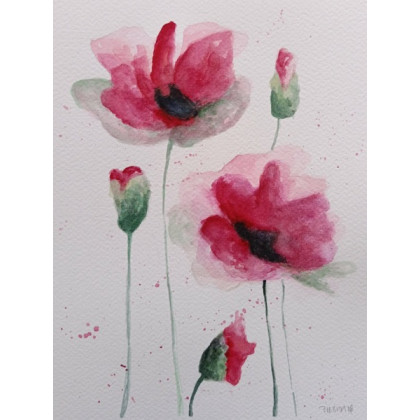 Paulina Lebida - obrazy akwarela - Maki- akwarela 24/18 cm foto #1