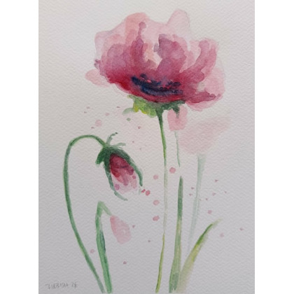 Paulina Lebida - obrazy akwarela - Maki- akwarela 24/18 cm foto #1