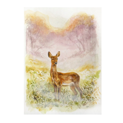 Sarna - akwarela na papierze, Między Marzeniami, obrazy akwarela