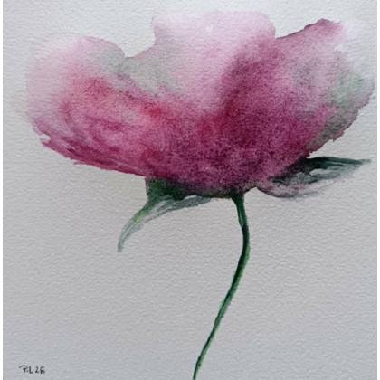 Paulina Lebida - obrazy akwarela - Mak- akwarela 15/15 cm foto #1