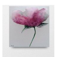 Mak- akwarela 15/15 cm