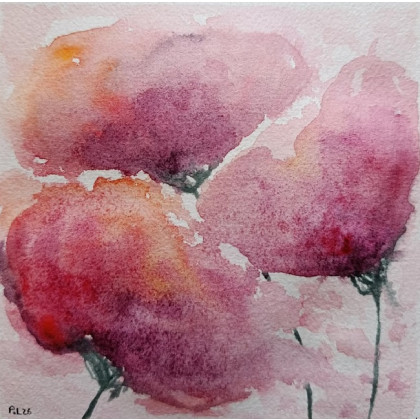 Paulina Lebida - obrazy akwarela - Maki- akwarela 15/15 cm foto #1