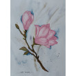 Akwarela Akwarelka Obraz pt: Magnolia 22,5 x 30