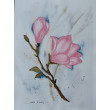 Akwarela Akwarelka Obraz pt: Magnolia 22,5 x 30