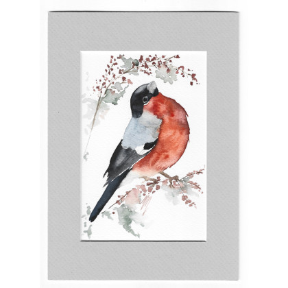 Gil - akwarela z passe portout, Magdalena Malik, obrazy akwarela