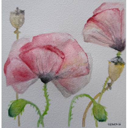 Paulina Lebida - obrazy akwarela - Kwiaty- akwarela 15/15 cm foto #1