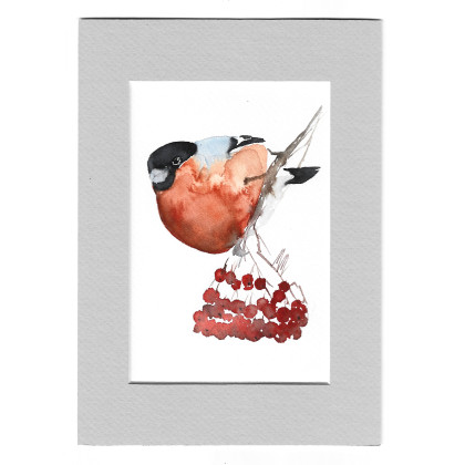 Gil - akwarela z passe portout, Magdalena Malik, obrazy akwarela