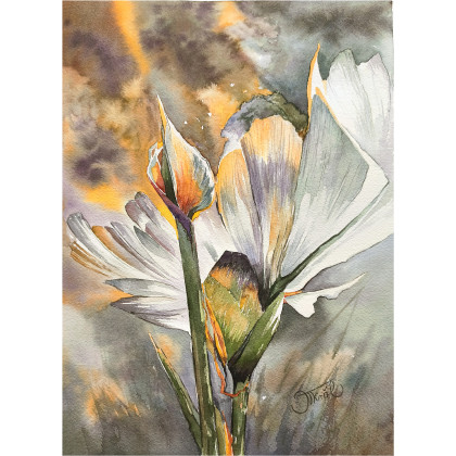 Rajski płomień, Akwarela 24x32 cm, Joanna Tomczyk, obrazy akwarela