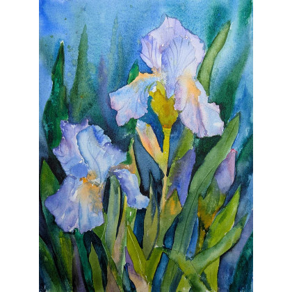 Irysy - akwarela A4, Ewelina Zajączkowska, obrazy akwarela