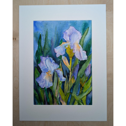 Ewelina Zajączkowska - obrazy akwarela - Irysy - akwarela A4 foto #1
