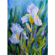 IRYSY - AKWARELA A4