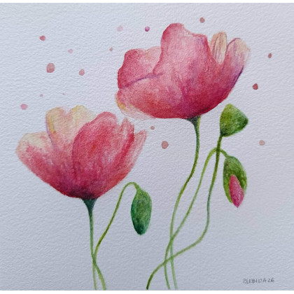 Paulina Lebida - obrazy akwarela - Maki- akwarela 20/20 cm foto #1