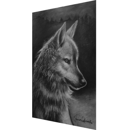 Dariusz Kaźmierczak - rysunek węglem - Szary Wilk foto #1