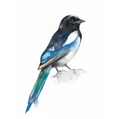 Sroka - akwarela, Magdalena Malik, obrazy akwarela