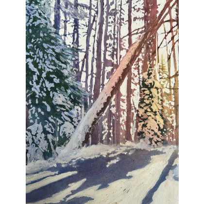 Krystyna Nowak - obrazy akwarela - Zimowy las (50x70 cm) foto #1