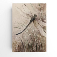 Ważka-  akwarela formatu A5