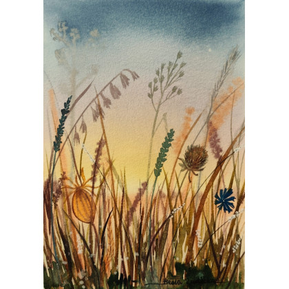 Beata Rudecka - obrazy akwarela - Akwarela Obraz pt: Łąka o zachodzie słońca foto #1