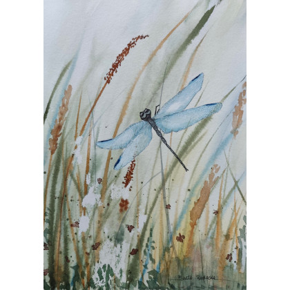 Beata Rudecka - obrazy akwarela - Oryginalna Akwarela pt: Ważka – Ręcznie malowana, Unikat foto #1