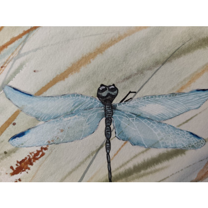 Beata Rudecka - obrazy akwarela - Oryginalna Akwarela pt: Ważka – Ręcznie malowana, Unikat foto #4