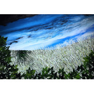 IN THE SKY, WONDERS HAPPEN