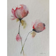 Róże-  akwarela formatu 24/18 cm