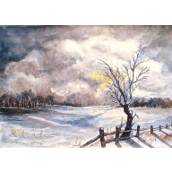 Zasypianie polnej gruszy