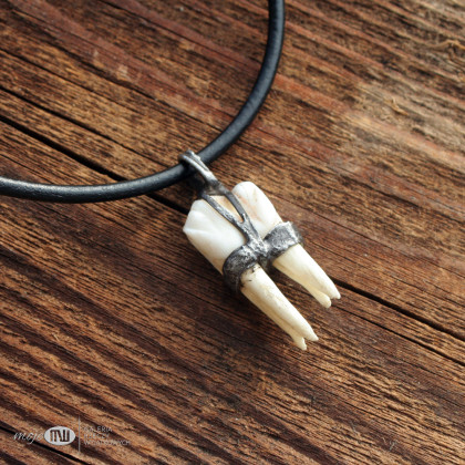 Moje MW - biżuteria męska - Ząb dzika 04 foto #1