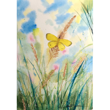 Beata Rudecka - obrazy akwarela - Oryginalna Akwarela pt: Motyl Cytrynek – Ręcznie malowana, Unikat foto #1
