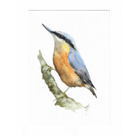 Kowalik -  obraz akwarelowy