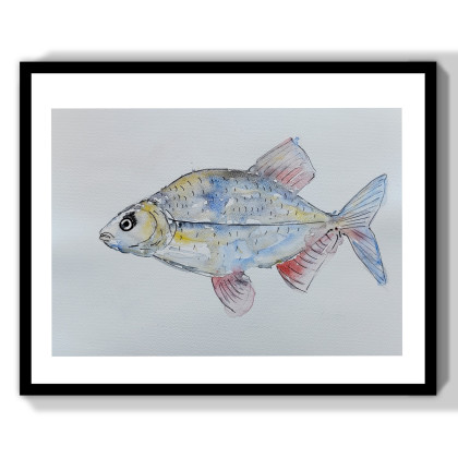 ML - obrazy akwarela - Akwarela -ryby foto #1