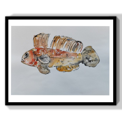 ML - obrazy akwarela - Akwarela -ryby foto #2