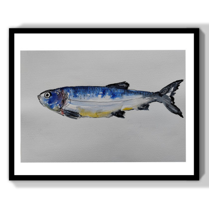 ML - obrazy akwarela - Akwarela -ryby foto #3