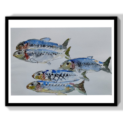 Akwarela-sardynki, ML, obrazy akwarela