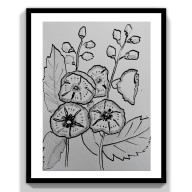 Rysunek piórkiem -Malwy