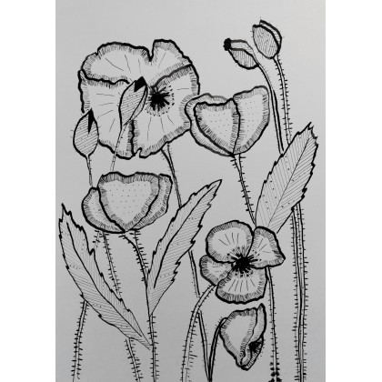 ML - rysunek tuszem - Rysunek tuszem  -Maki 2 foto #1