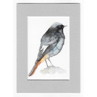 Kopciuszek - akwarela z passe portout