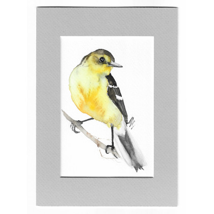 Pliszka cytrynowa - akwarela z passe portout, Magdalena Malik, obrazy akwarela